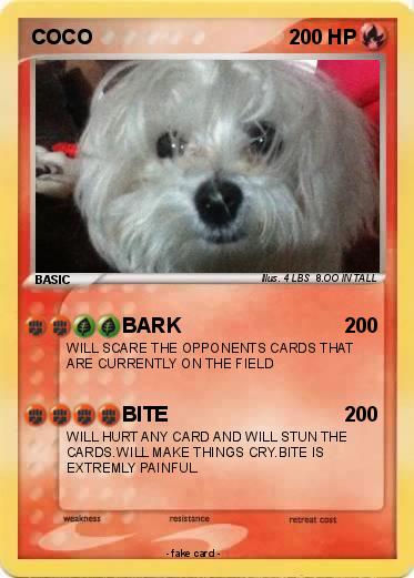 Pokemon COCO