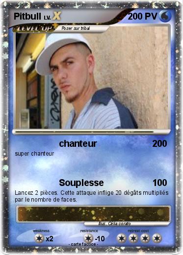 Pokemon Pitbull