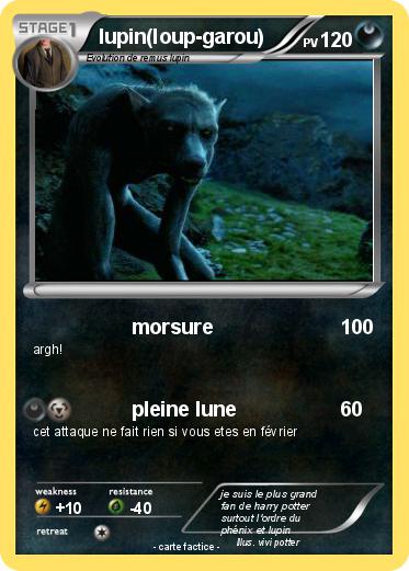 Pokemon lupin(loup-garou)