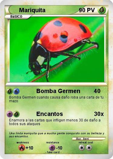 Pokemon Mariquita