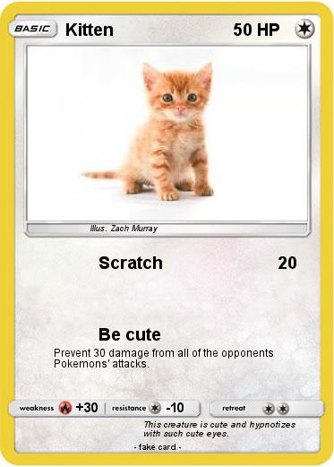Pokemon Kitten