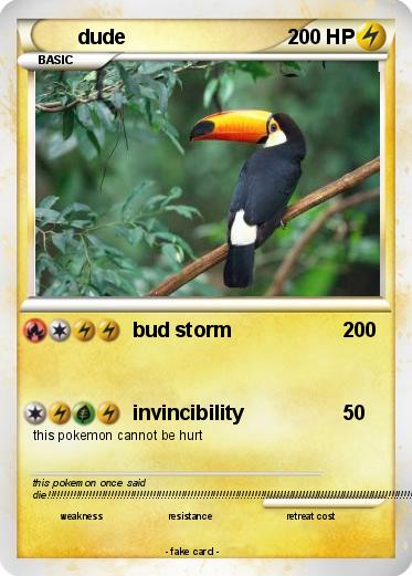 Pokemon dude