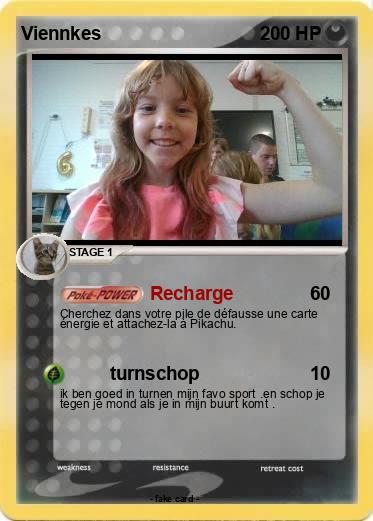 Pokemon Viennkes