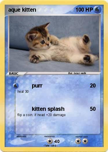 Pokemon aque kitten