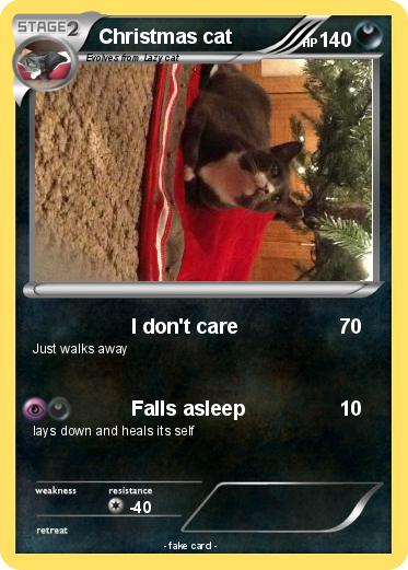 Pokemon Christmas cat