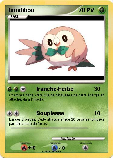 Pokemon brindibou
