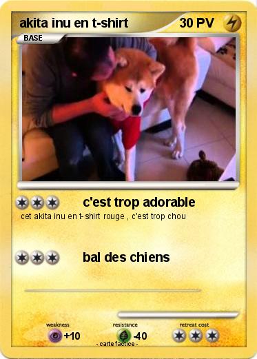 Pokemon akita inu en t-shirt