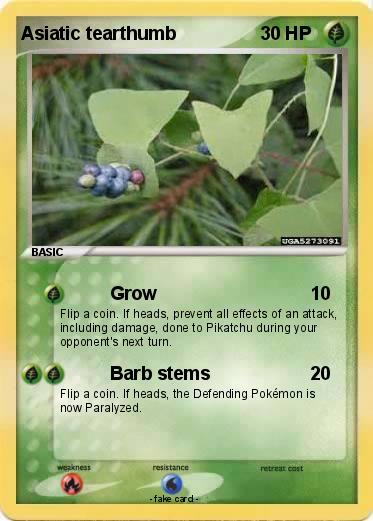 Pokemon Asiatic tearthumb
