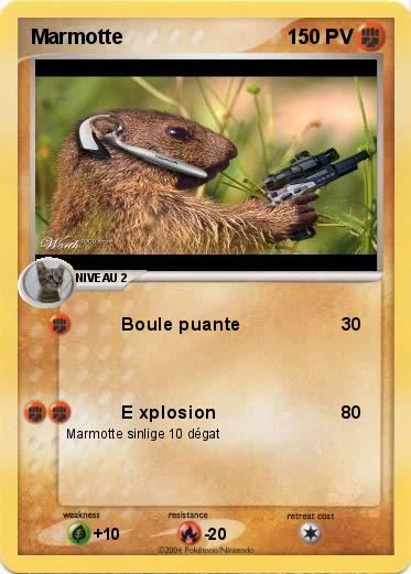 Pokemon Marmotte