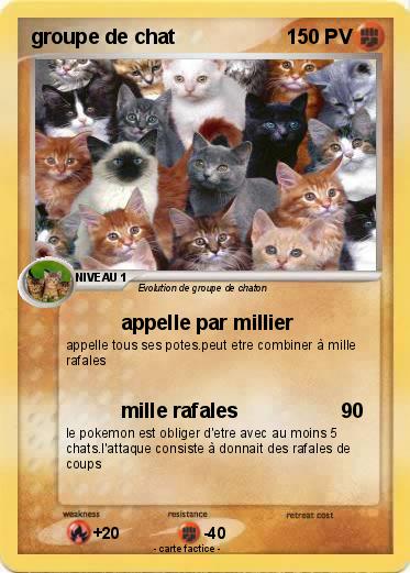 Pokemon groupe de chat