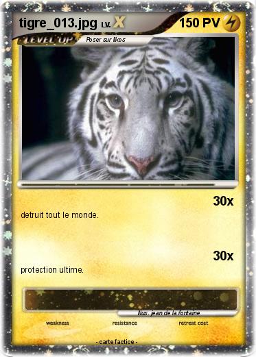 Pokemon tigre_013.jpg