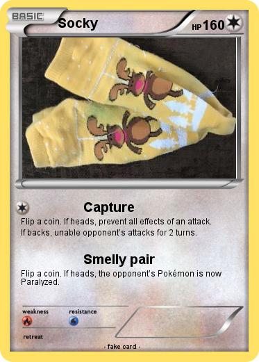 Pokemon Socky