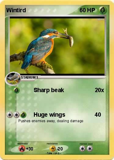Pokemon Wintird