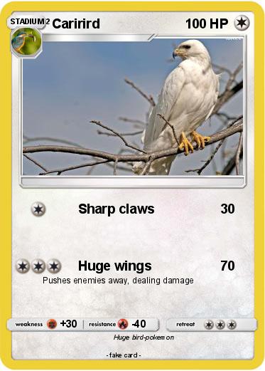 Pokemon Carirird