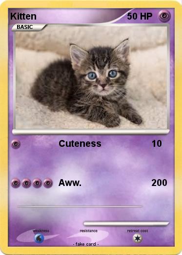 Pokemon Kitten