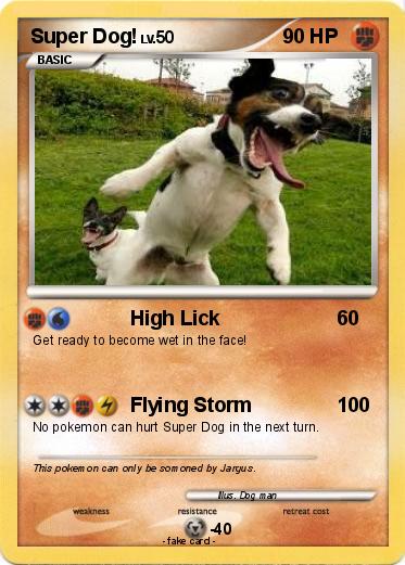 Pokemon Super Dog!