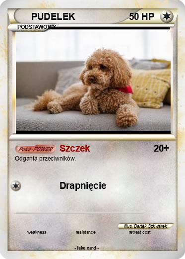 Pokemon PUDELEK