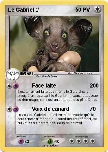 Pokemon Le Gabriel :/