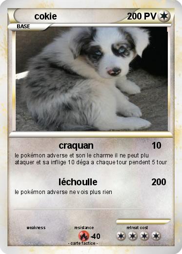 Pokemon cokie