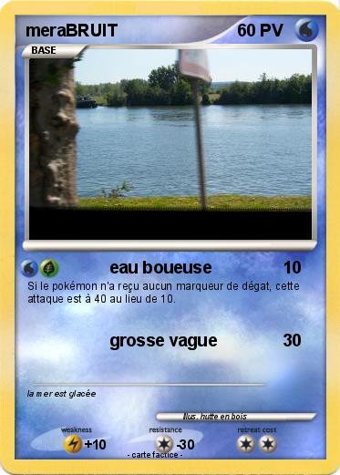 Pokemon meraBRUIT