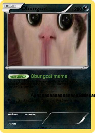 Pokemon Obungcat