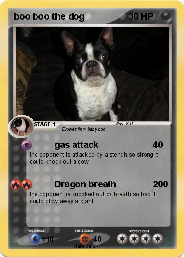 Pokemon boo boo the dog