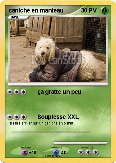 Pokemon caniche en manteau
