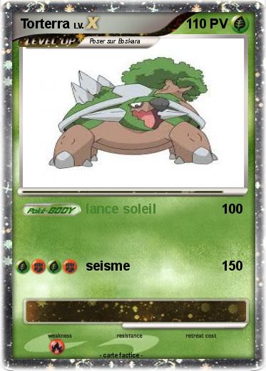Pokemon Torterra