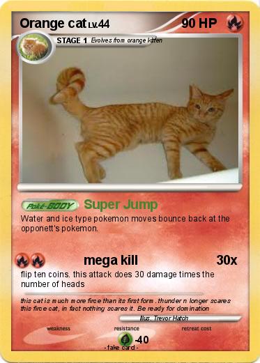Pokemon Orange cat
