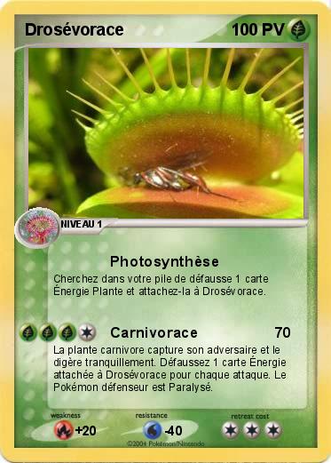 Pokemon Drosévorace