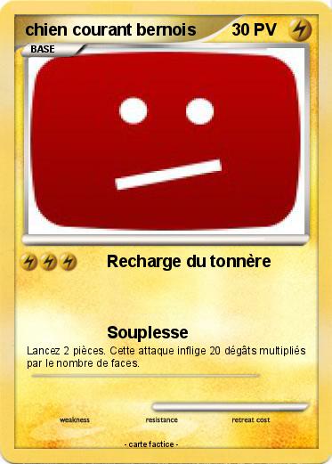 Pokemon chien courant bernois