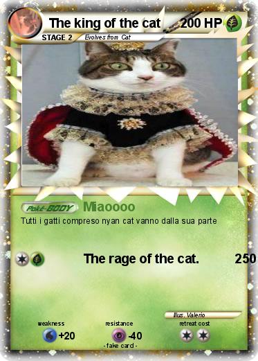 Pokemon The king of the cat