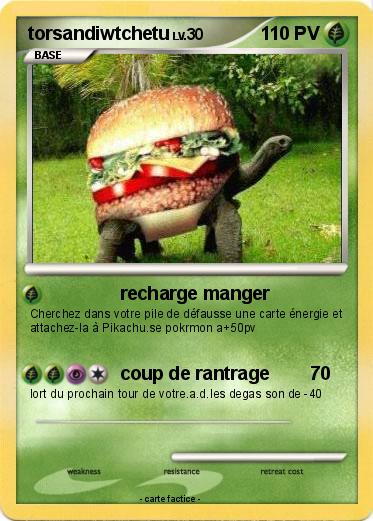 Pokemon torsandiwtchetu