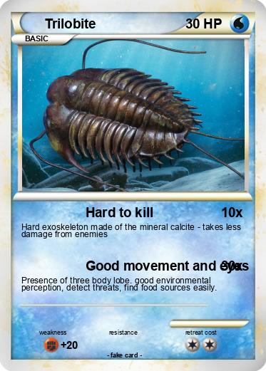 Pokemon Trilobite