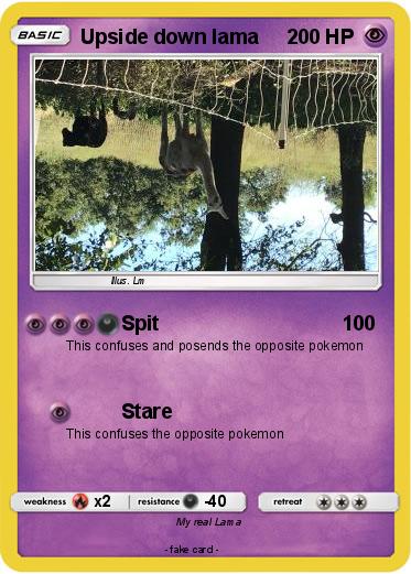 Pokemon Upside down lama