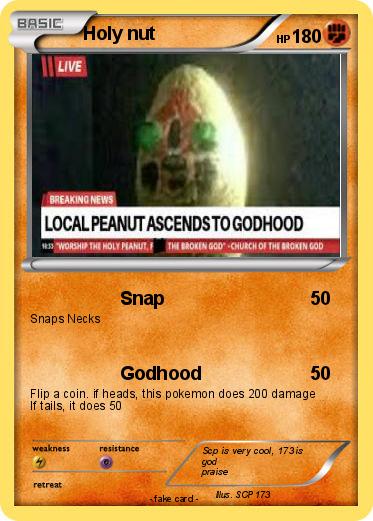 Pokemon Holy nut