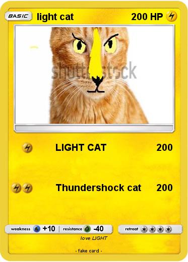 Pokemon light cat