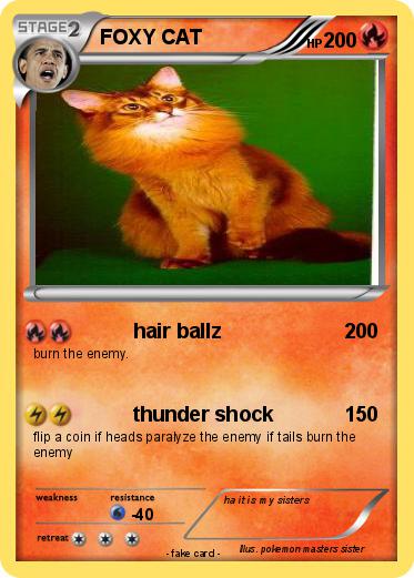 Pokemon FOXY CAT