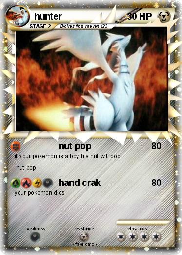 Pokemon hunter