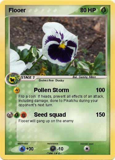 Pokemon Flooer
