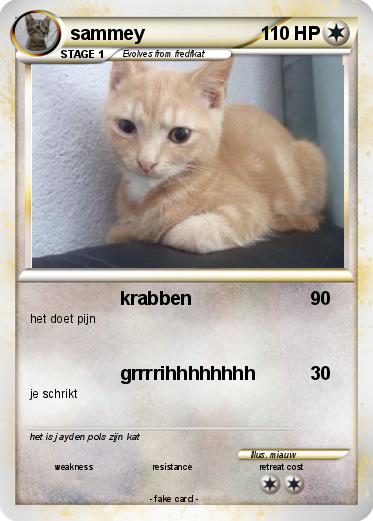 Pokemon sammey