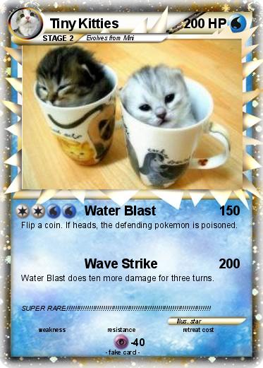 Pokemon Tiny Kitties