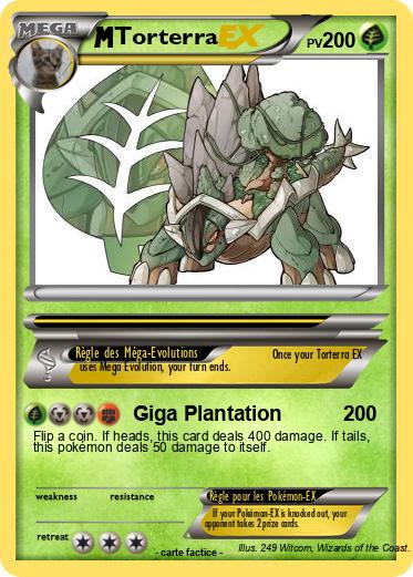 Pokemon Torterra