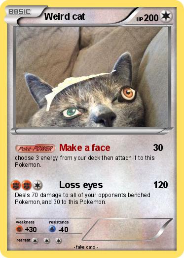 Pokemon Weird cat
