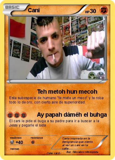 Pokemon Cani