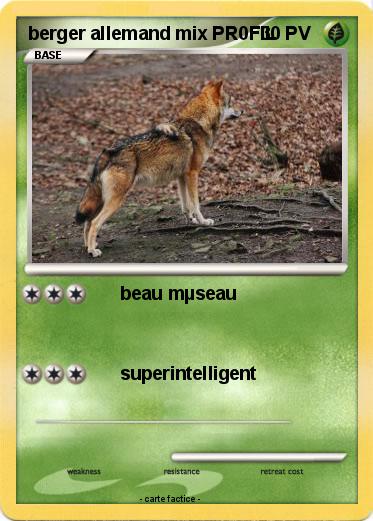 Pokemon berger allemand mix PR0FIL