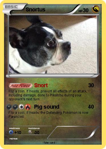 Pokemon Snortus