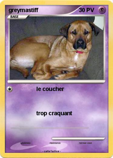 Pokemon greymastiff