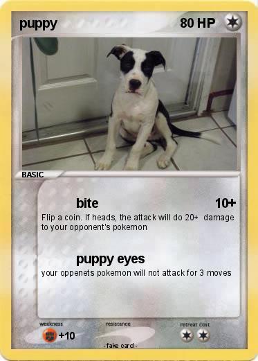 Pokemon puppy