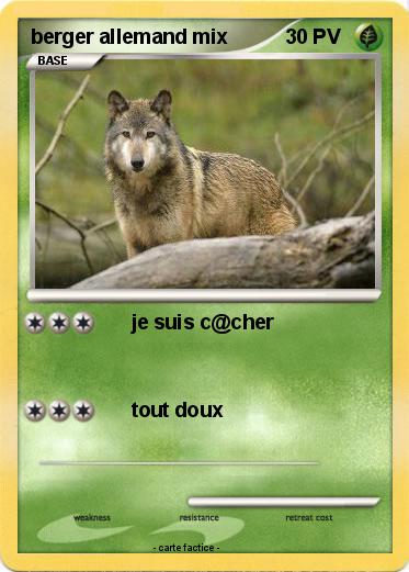 Pokemon berger allemand mix